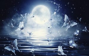 Read more about the article The Hidden Cost of Having Many Dreams