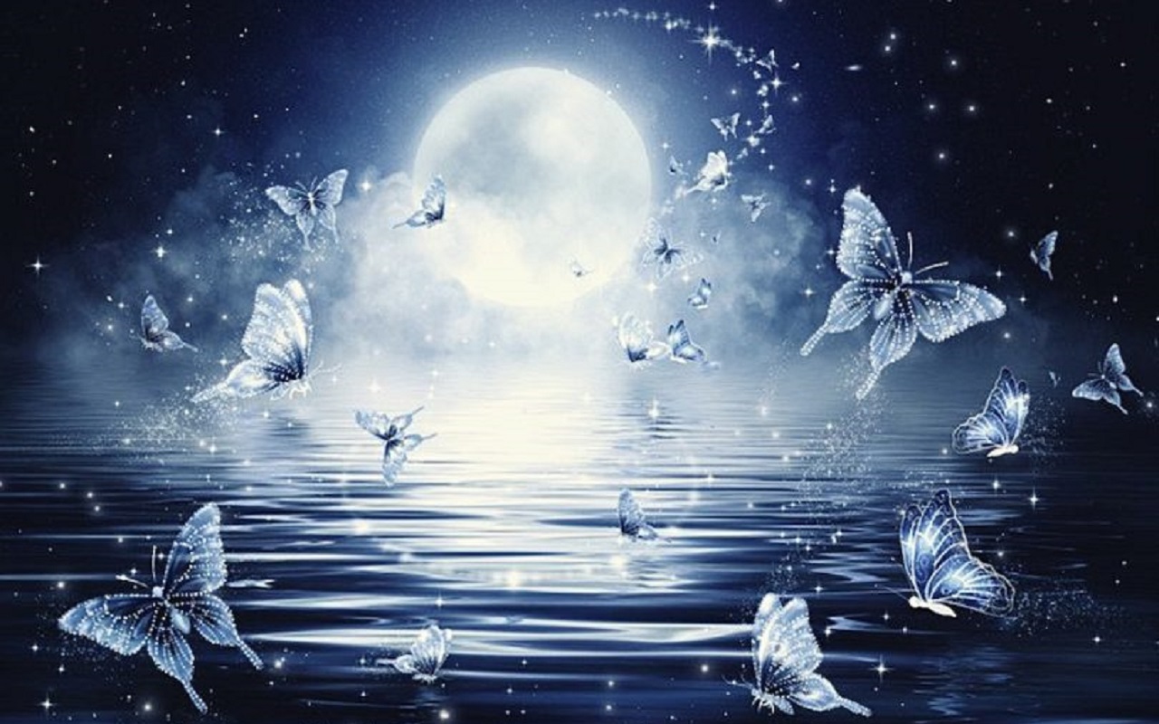 You are currently viewing The Hidden Cost of Having Many Dreams