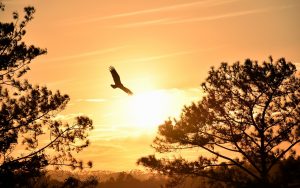 Read more about the article “You can’t wait till life isn’t hard anymore before you decide to be happy”