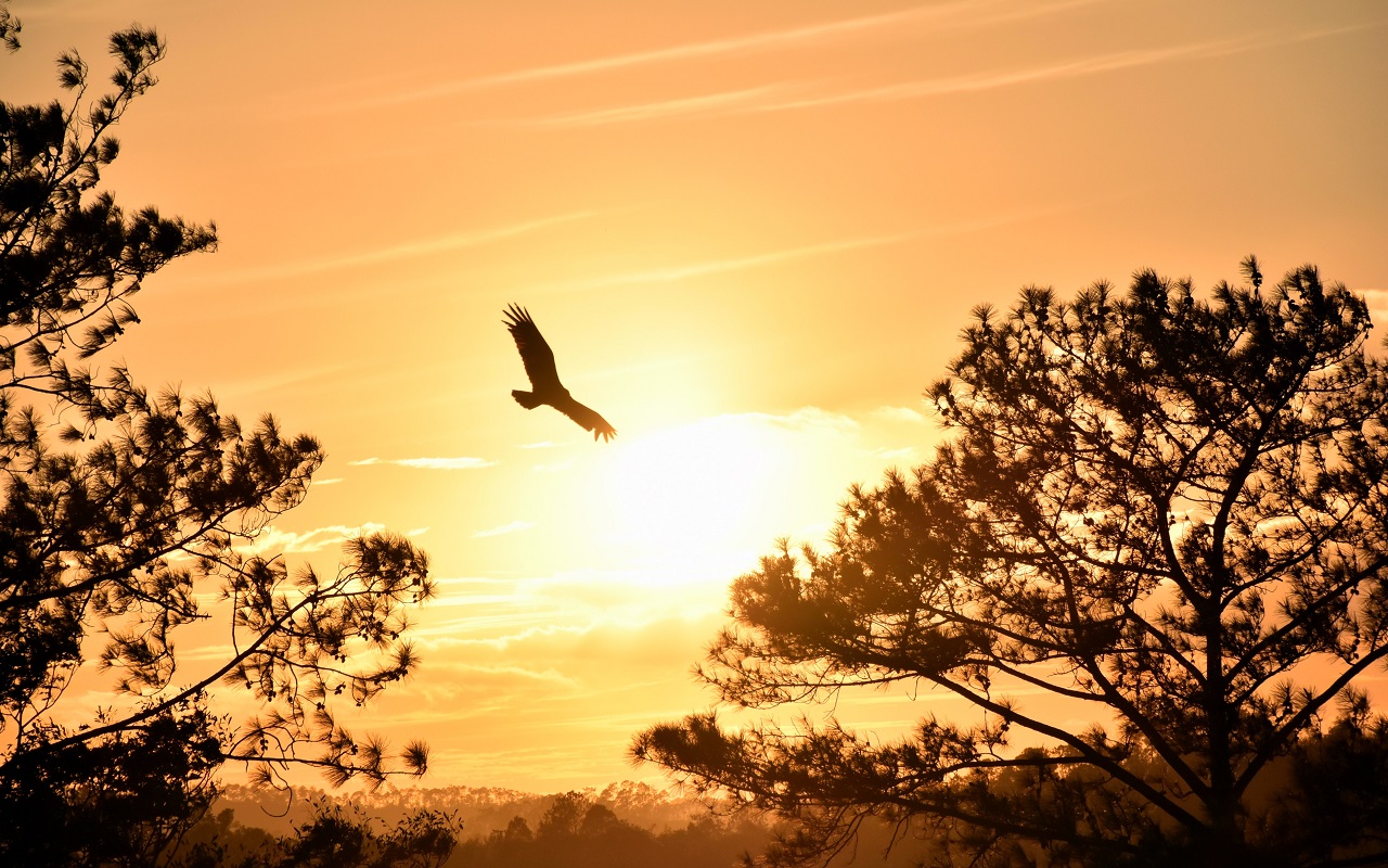 You are currently viewing “You can’t wait till life isn’t hard anymore before you decide to be happy”