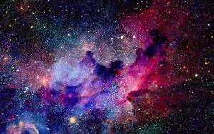 Read more about the article The Beauty of Insignificance