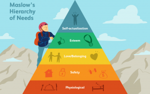 Read more about the article <strong>Why we do what we do part 2: Needs</strong>