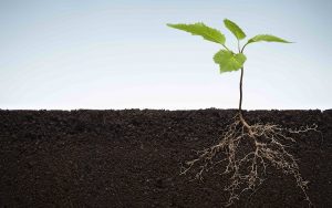 Read more about the article The only post you truly need to read