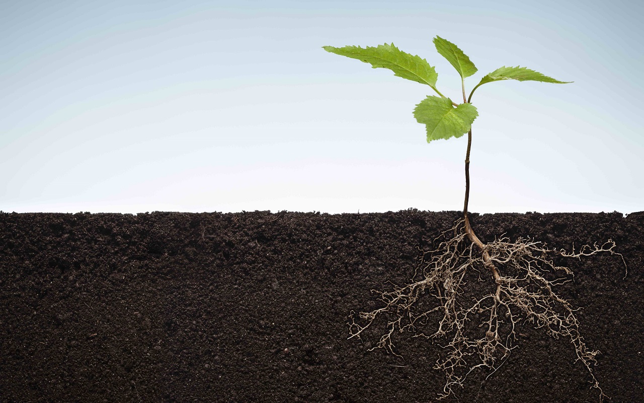 You are currently viewing The only post you truly need to read