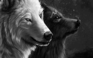 Read more about the article <strong>The masculine-feminine polarity and why we need both</strong>