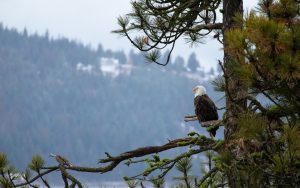 Read more about the article <strong>The beauty of life and what it can teach us</strong>