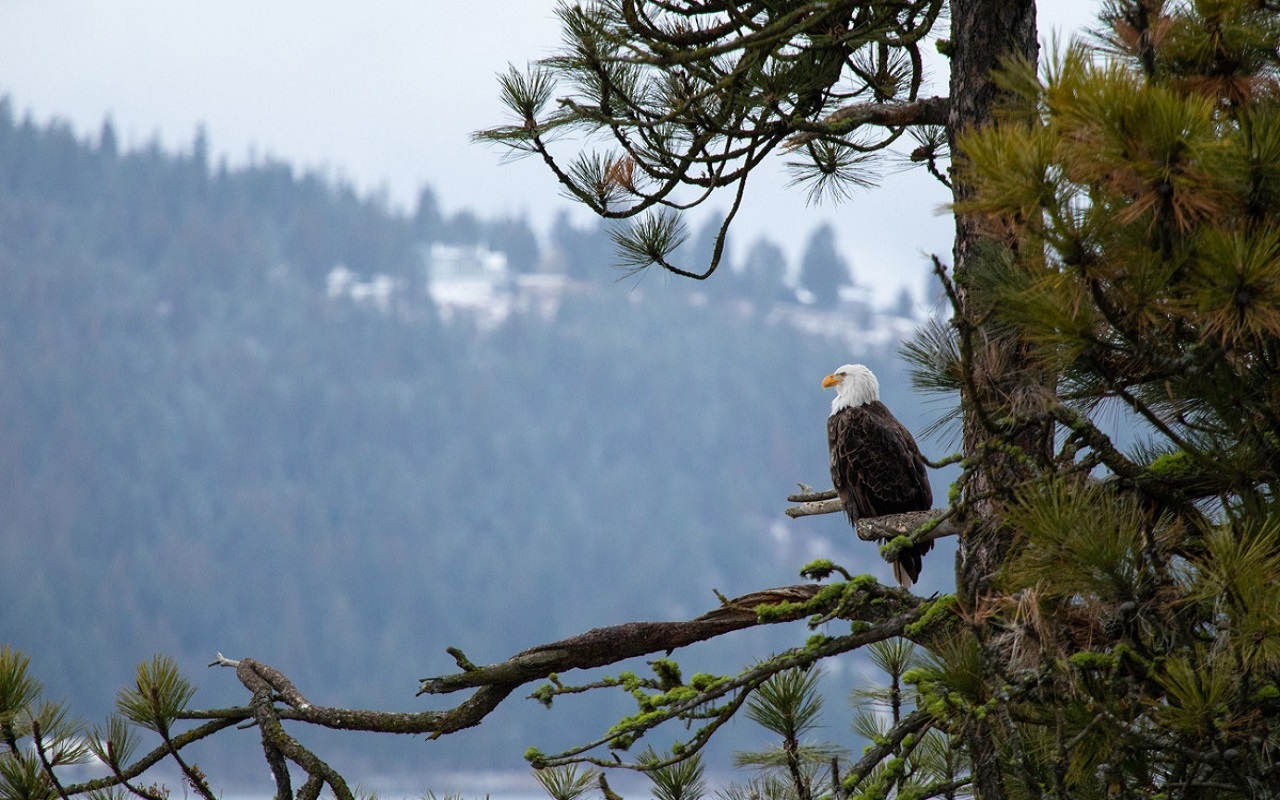 You are currently viewing <strong>The beauty of life and what it can teach us</strong>