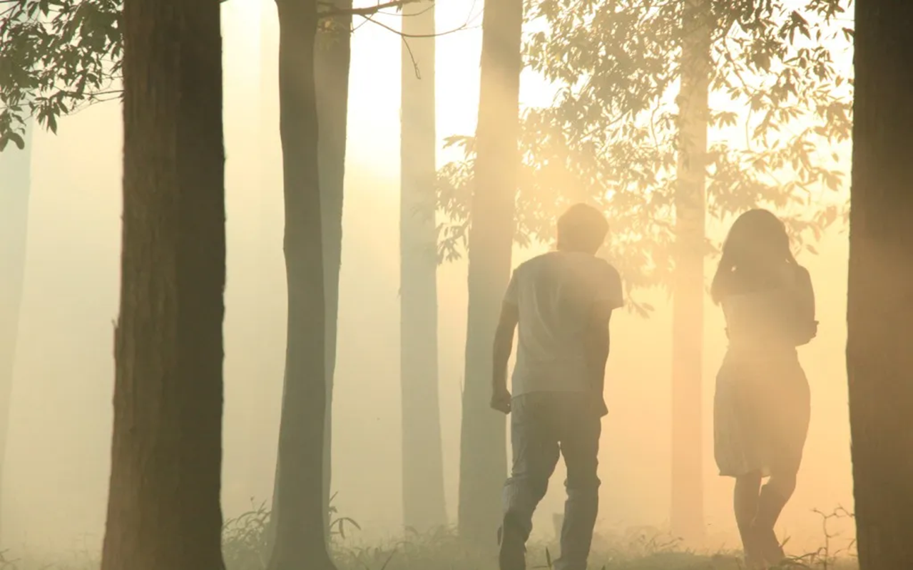 You are currently viewing Why Norwegian Wood Feels Like a Horoscope